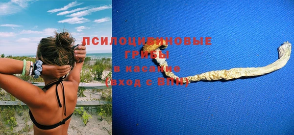 трава Михайловск