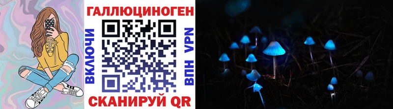 Галлюциногенные грибы мухоморы Приволжский
